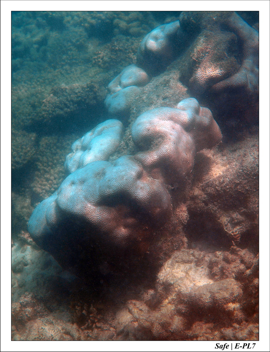 2018 - 08 - Pulau Tinggi - 20